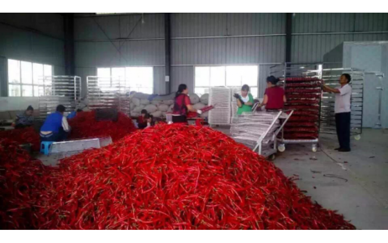 2021貴州辣椒加工產(chǎn)值150億元以上，空氣源熱泵烘干迎來爆發(fā)機(jī)遇
